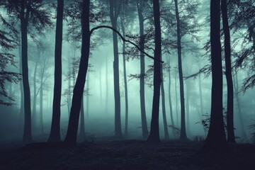 Fototapeta premium A forest with trees in the background and a foggy sky