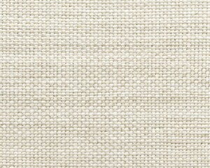 Fototapeta premium texture of a burlap