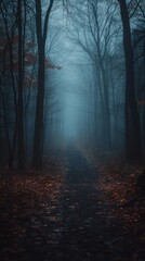 Fototapeta premium A forest path is shown in the dark with trees in the background