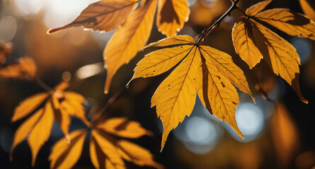 Fototapeta premium Autumn leaves with warm glow abstract background