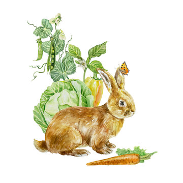 brown bunny with vegetables watercolor clip art preview