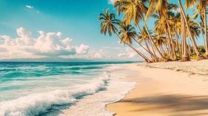 Tropical Paradise Beach