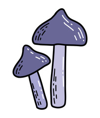 Forest boletus mushroom trendy vivid illustration 