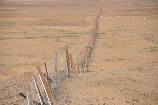 View of long dingo fence used to keep out dingoes in South Australia