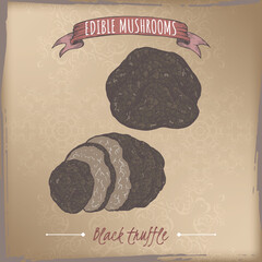 Tuber melanosporum aka black truffle color sketch on vintage background. Edible mushrooms series.