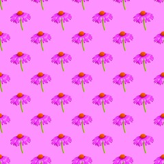 seamless pattern with flowers