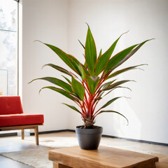 calathea ornata, plant in a minimal modern pot living room with floral design Calathea ornata in a stylish home interior