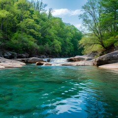 Obraz premium river in the forest