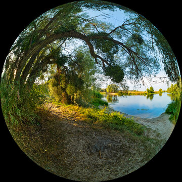 Fisheye view of river bank with tree. Landscape of non-urban area on summer sunny day. Photo taken through circular lens