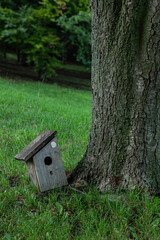 A weathered wooden birdhouse is nestled at the base of a large tree on a grassy lawn, surrounded by nature, suggesting a peaceful and natural setting.
