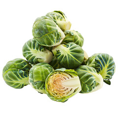 city sprouts isolated on white