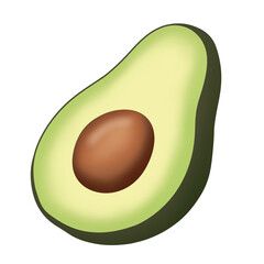 Illustration of a avocado . White background. Hand-drawn illustration.