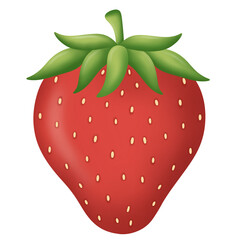 Illustration of strawberry . White background. Hand-drawn illustration.