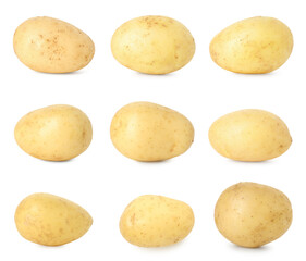 Many whole potatoes isolated on white, set