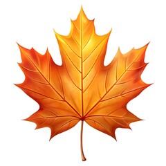 Obraz premium maple leaf isolated on white