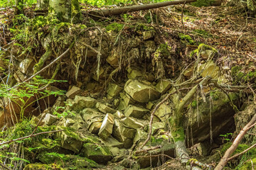 Cascada Bursuc, Putna 727455  -  Europe, Romania, Suchav region 