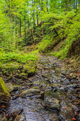 Cascada Bursuc, Putna 727455  -  Europe, Romania, Suchav region 