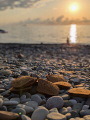 Obraz premium Pieces of black bread scattered on the beach. Against the background of the sunset. Trash and garbage.