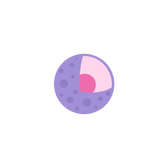 Cell Nucleus illustration
