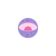 Obraz premium Cell Nucleus illustration