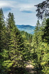 Cascada Bursuc, Putna 727455  -  Europe, Romania, Suchav region 