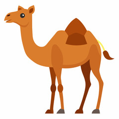 camel-vector-on-white-background