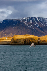 Reykjavik Harbor