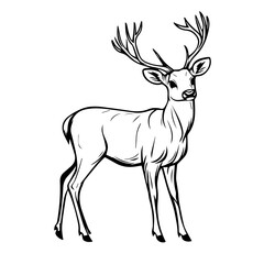 Deer Vector