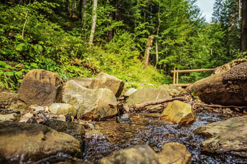 Cascada Bursuc, Putna 727455  -  Europe, Romania, Suchav region 