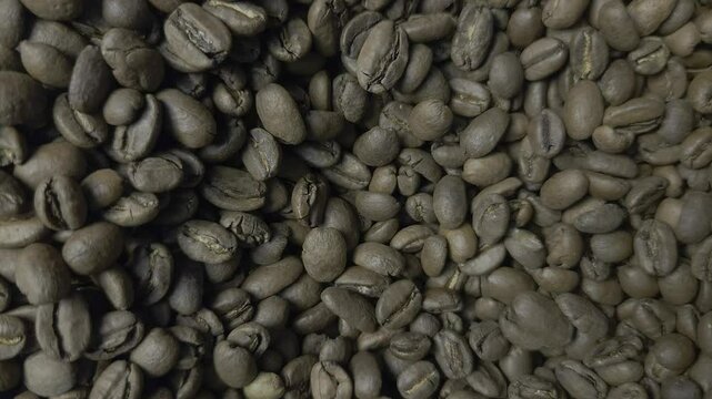 Roast Coffee beans  background rotate