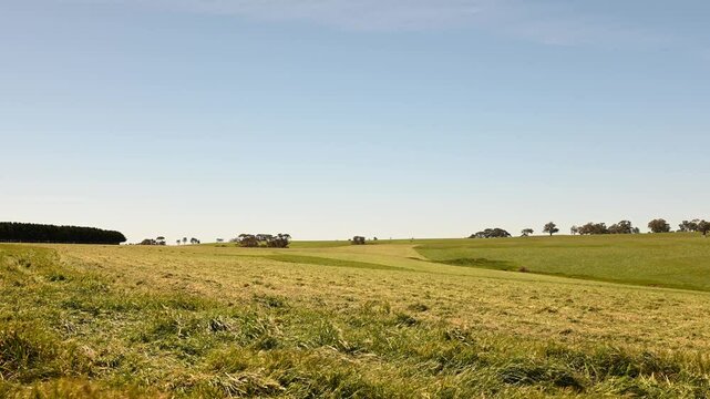 Baling hay and silage rolls and bales on a farm, in australia, by the ocean and sea.