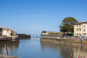 boats in the harbor