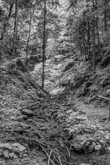 Cascada Bursuc, Putna 727455  -  Europe, Romania, Suchav region 