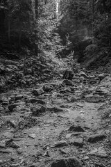 Cascada Bursuc, Putna 727455  -  Europe, Romania, Suchav region 