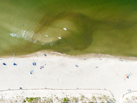 Zdjęcie lotnicze plaży nad morzem. Mierzeja Wiślana nad morzem Bałtyckim