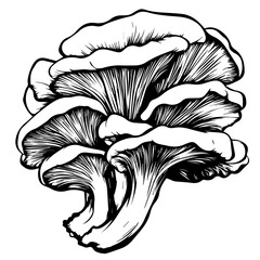 Mushroom Vector