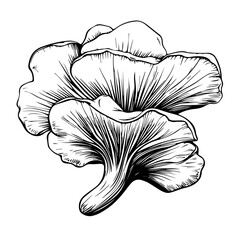 Mushroom Vector