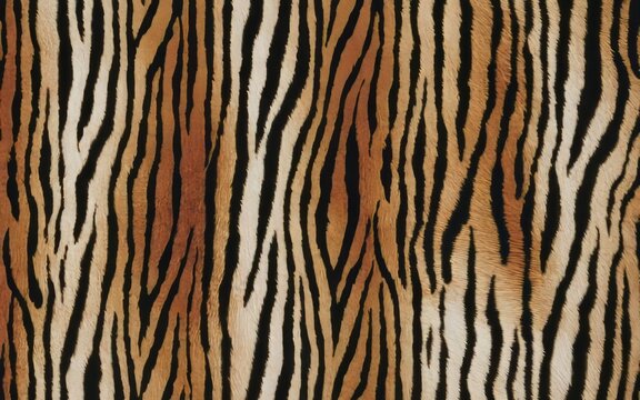 Tiger stripes pattern. Seamless tiger stripes pattern in black, orange, and white for textile, fashion, and design projects.