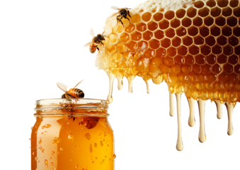 Honeycomb with bees and honey in a jar transparent background.