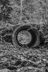 Cascada Bursuc, Putna 727455  -  Europe, Romania, Suchav region 