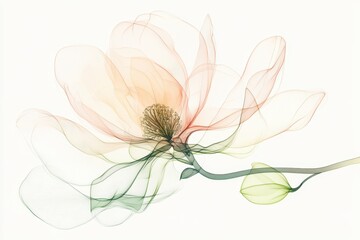 Obraz premium Delicate Magnolia Flower Continuous Line Illustration in Soft Pink and Green Colors for Natural Aesthetic