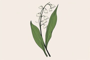 Delicate Lily of the Valley Continuous Line Drawing with Black Outline and Minimal Green and White Colors for Elegance