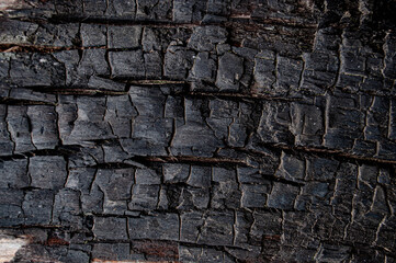 the texture of wood burning to charcoal