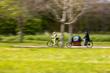 Fototapeta premium cycling in the park