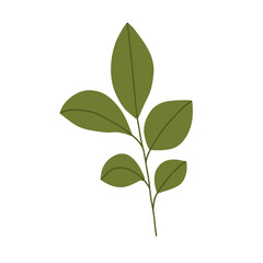 Hand drawn green plant, cartoon flat vector illustration isolated on white background. Stem with leaves. Nature element.