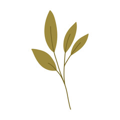 Hand drawn green plant, cartoon flat vector illustration isolated on white background. Stem with leaves. Nature element. Autumn botany.