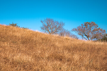 Mont Mourex en été 