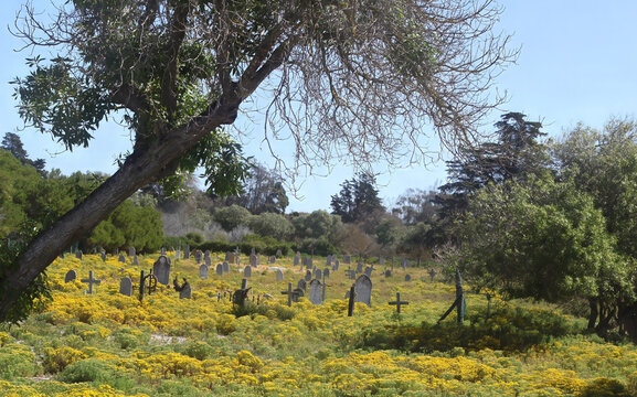 View of the Leper Graveyard, Robben Island, Cape Town South Africa
