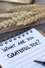 What are you grateful for, handwritten text in notebook with wheat and holy bible in the background. Close-up. Selective focus. Gratitude and thanksgiving to God Jesus Christ, Christian concept.