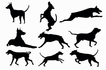 Doberman silhouette set - isolated vector images of wild animals